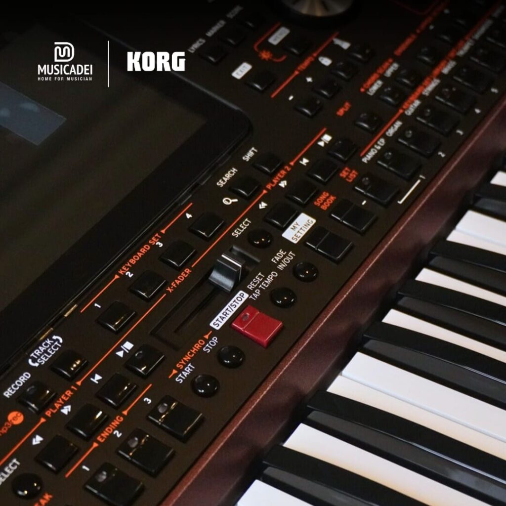 pic6-korg